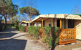 Mobile Home Comfort Viareggio - Including Airco -Camping Paradiso- R028